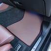 Коврики на BMW X5 (G05/G18) 2018 - 2025 в Балашихе