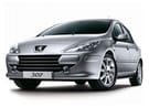 Ворсовые коврики на Peugeot 307 2001 - 2008 в Балашихе