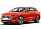 Ворсовые коврики на Audi Q8 e-tron 2022 - 2025 в Балашихе