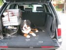 Ворсовые коврики на BMW X5 (E53) 1999 - 2006 в Балашихе